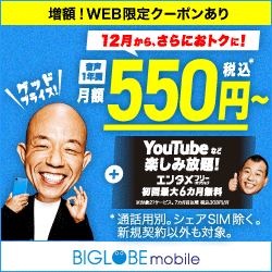 BIGLOBEモバイルのサービス画像